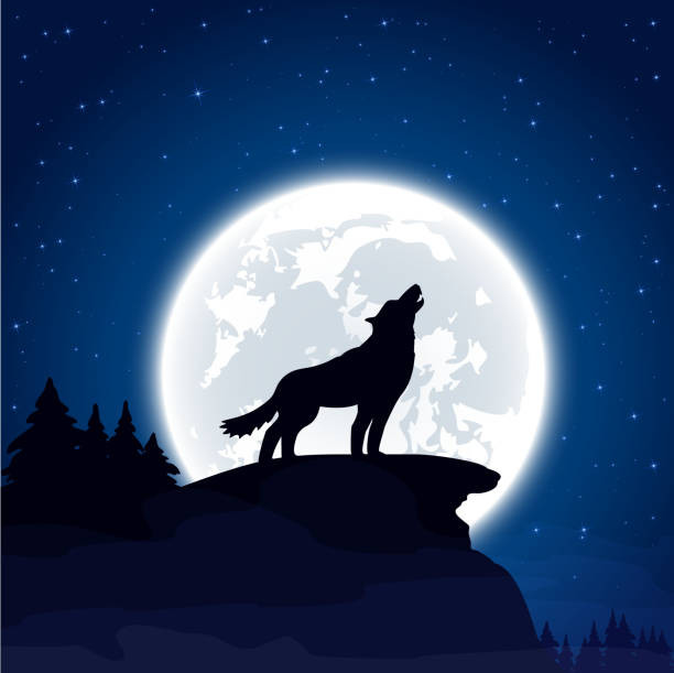 Kenalan dengan Wolf Moon, Bulan Purnama yang Terjadi di Januari