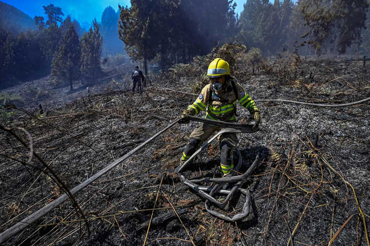 17 Ribu Hektar Lahan Hancur akibat Kebakaran Hutan di Kolombia