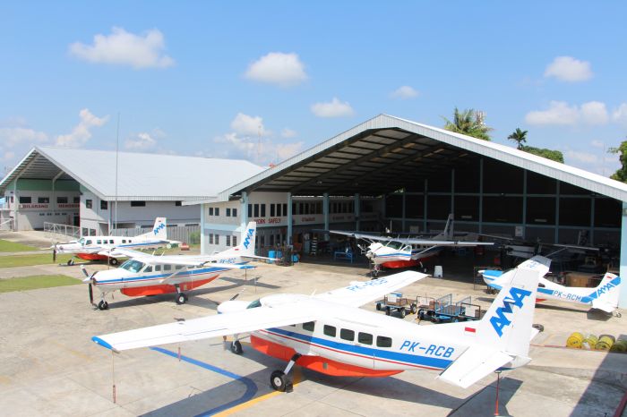 Tekan Disparitas Harga di 3TP, Pemerintah Pelototi Program Angkutan Udara Perintis