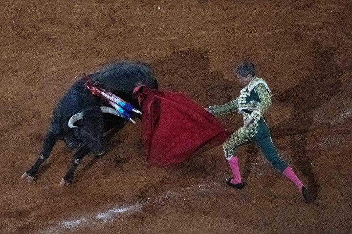 Pertunjukan Adu Banteng kembali Digelar di Meksiko