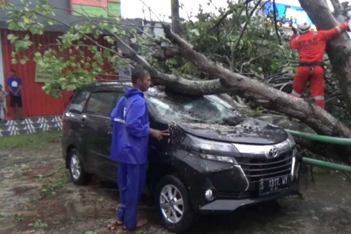 Angin Kencang Tumbangkan Pepohonan dan Rusak Mobil