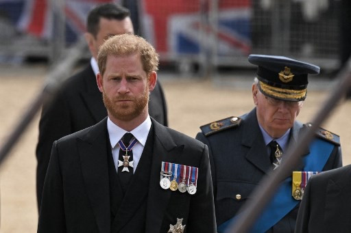 Pangeran Harry, Foto: AFP