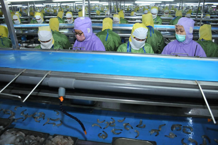 Kualitas Udang Indonesia Tembus Pasar Ekspor