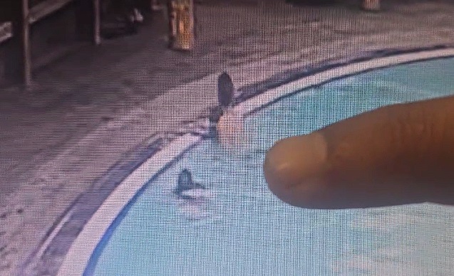 Rekaman CCTV Beredar, Detik-detik Kekasih Tamara Tyasmara Diduga Menenggelamkan Dante