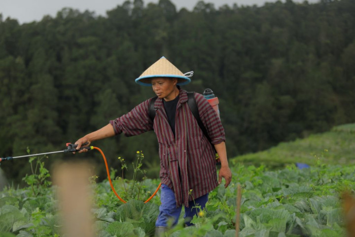 Perubahan Status BUMN Jadi Koperasi Bakal Pengaruhi Sektor Pertanian
