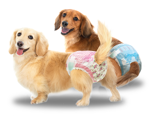 Pet Lovers Perkenalkan Popok Khusus Anjing yang Nyaman dan Anti-Ribet