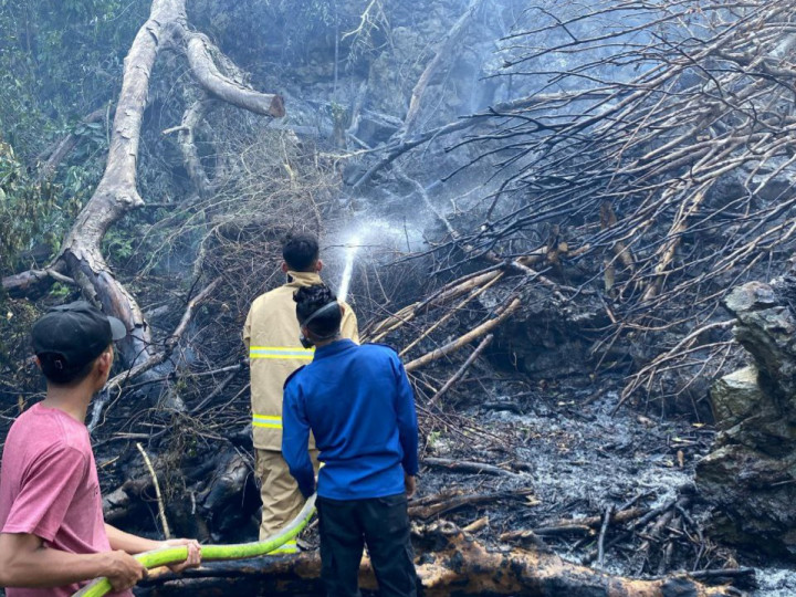15 Hektare Lahan di Aceh Besar Terbakar