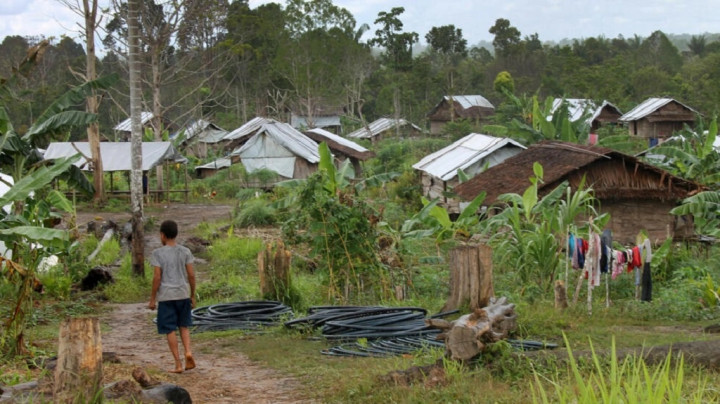50 Orang Lebih Tewas dalam Bentrokan Suku di Papua Nugini