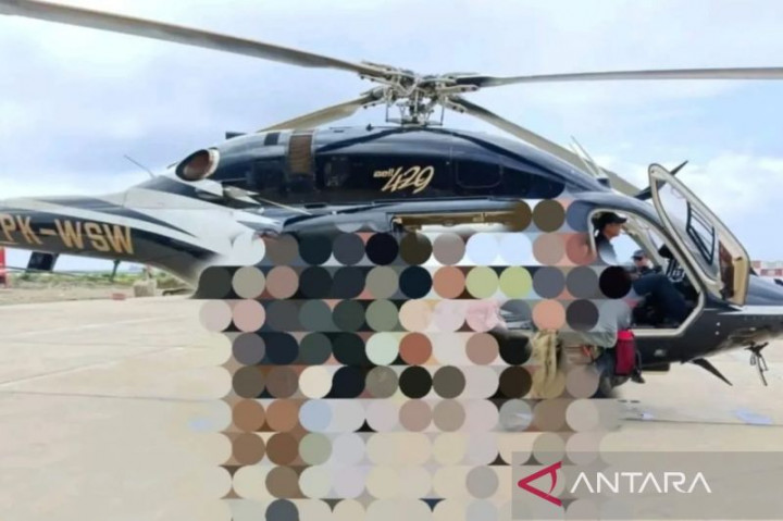 Basarnas Mulai Pencarian Helikopter Hilang Kontak di Hutan Halmahera