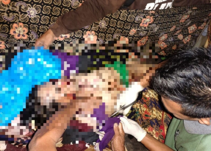 Harimau Sumatra Kembali Mangsa Warga di Lampung Barat