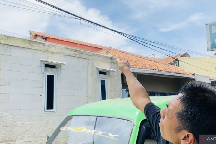 Seorang Warga Kota Bogor Tewas Disengat Tawon