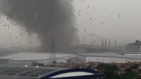 BMKG Tolak Angin Kencang di Rancaekek Disebut Tornado