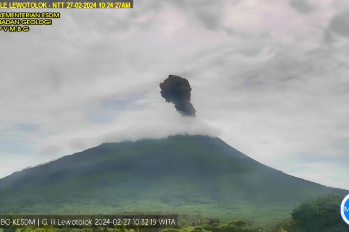 Gunung Ili Lewotolok Muntahkan Lava Sejauh 2 Kilometer