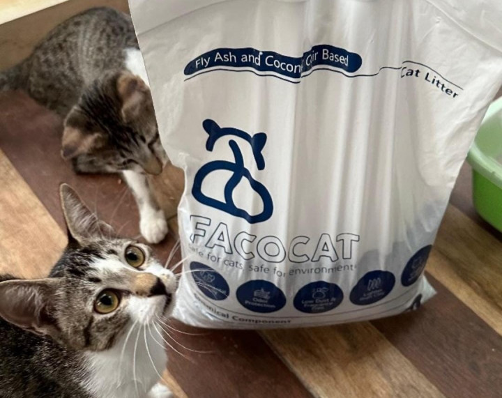 Mahasiswa ITS Bikin Facocat, Pasir Kucing Ramah Lingkungan