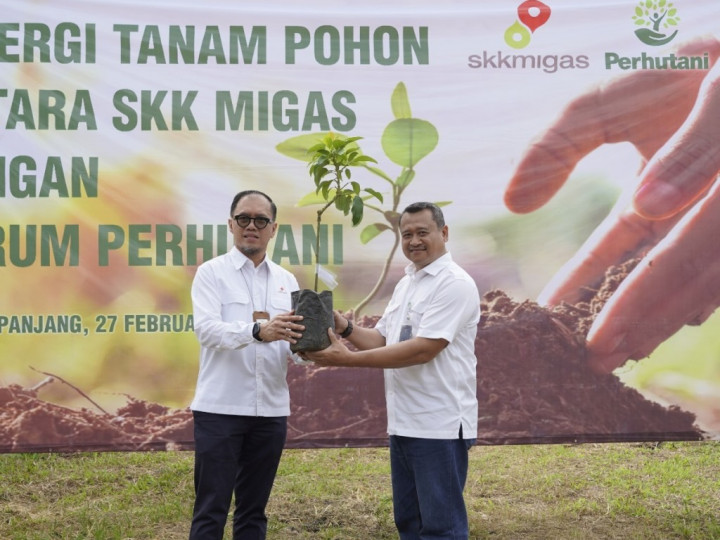 Perhutani dan SKK Migas Tingkatkan Serapan Karbon