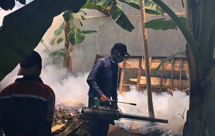 Angka Kematian DBD di Jepara Tinggi, Kemenkes Kerahkan Tim Peneliti