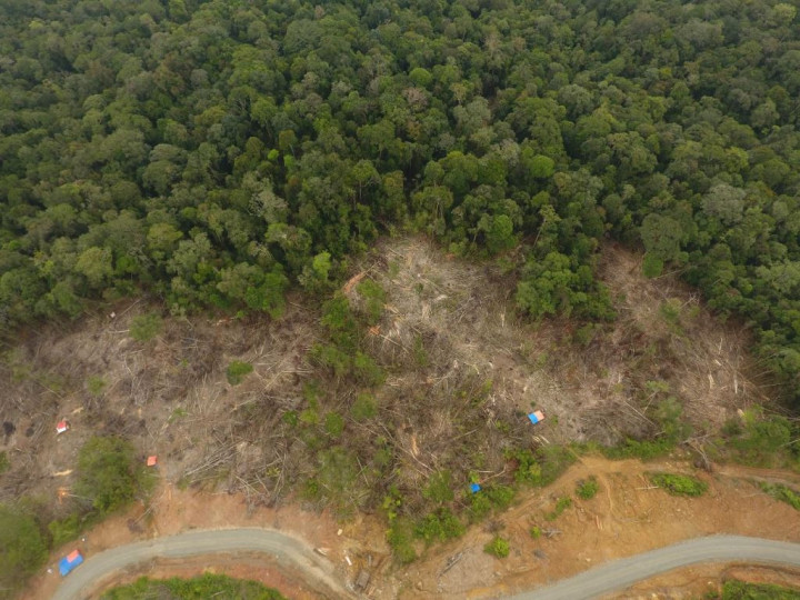 Indonesia Perjuangkan Masalah Deforestasi pada Perundingan CEPA