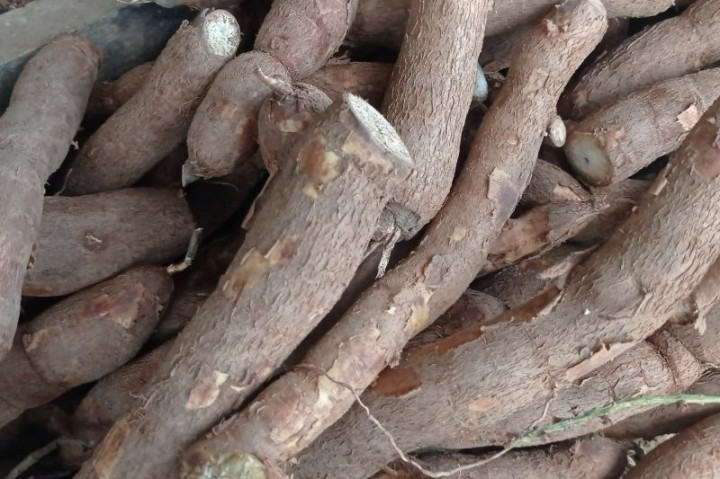 Harga Beras Naik, Omzet Pedagang Singkong di Lebak Naik Drastis