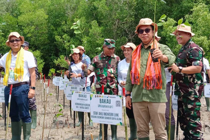 Kemenko Marves, KLHK dan BUMN Tanam Mangrove Seluas 20 Hektare di Kupang