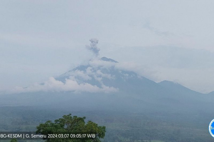 Erupsi Semeru Capai 1 Km dari Atas Puncak