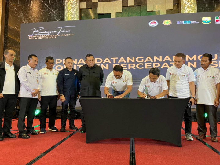 PTPN IV PalmCo Target Remajakan 15 Ribu Ha Sawit di Provinsi Jambi