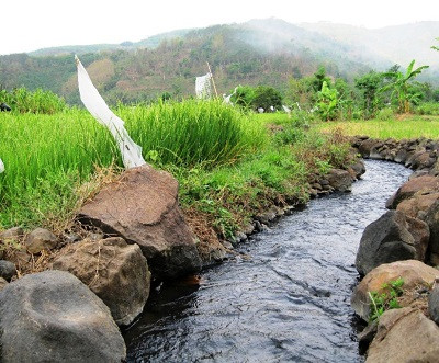 Gaet Kementerian PUPR, Kementan Kejar Target Swasembada Pangan Indonesia