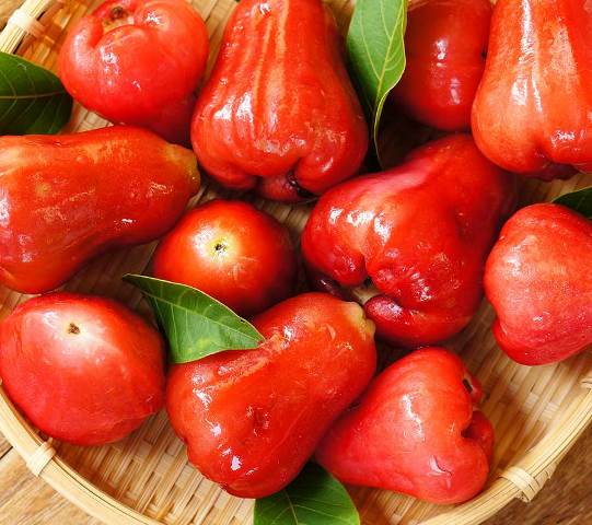 Selain untuk Rujakan, Jambu Air Juga Memiliki 6 Khasiat untuk Kesehatan Tubuh