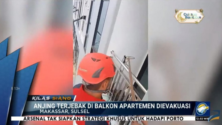 Aksi Damkar Makassar Evakuasi Anjing Malang yang Terkurung di Apartemen