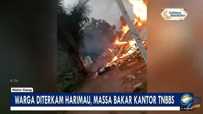 Serangan Harimau Lagi, Warga Lampung Barat Bakar Kantor Taman Nasional Resort Suoh
