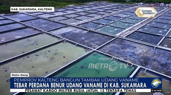 Pemprov Kalteng Bangun 72 Tambak Udang Vannamei