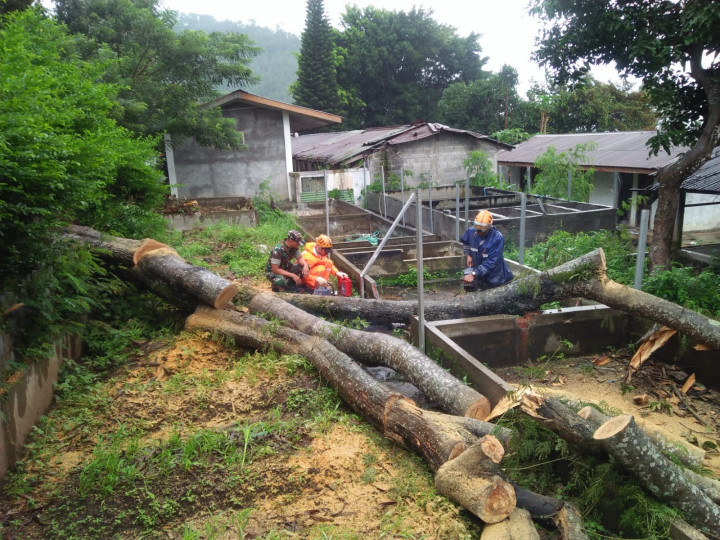 Warga Malang Diminta Waspada Cuaca Ekstrem Hingga Pekan Depan