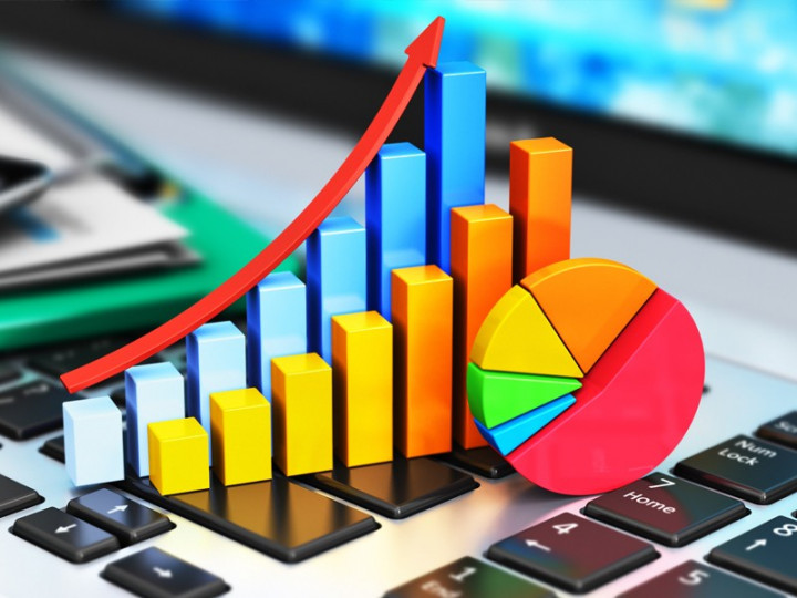 Cara Berinvestasi di Bibit untuk Pemula agar Untung