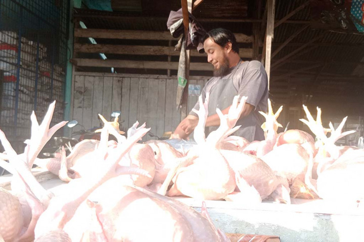 Harga Ayam Potong di Aceh Naik Rp7.000/kg