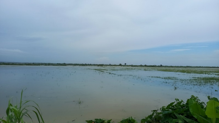 7 Warga Kudus Meninggal Akibat Banjir