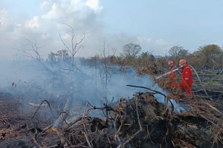 Karhutla Hanguskan Lahan Gambut di Kampar Riau