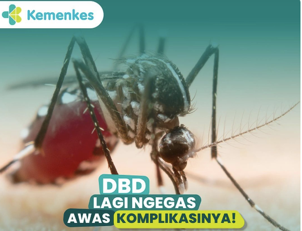 Waspada! Komplikasi DBD Bisa Berujung Kematian