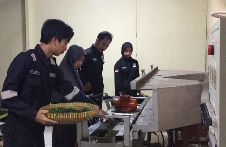 Dosen Vokasi Undip Teliti Teh Hijau Kelas Dunia Kaya Polifenol