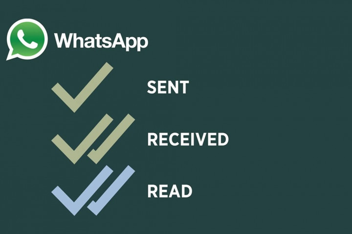 Cara Menyembunyikan Centang Biru di WhatsApp Terbaru 2024