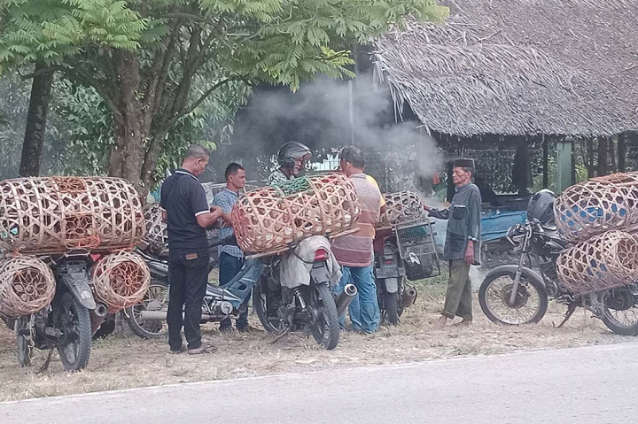Pasar Ayam Kampung di Aceh Sepi Pembeli