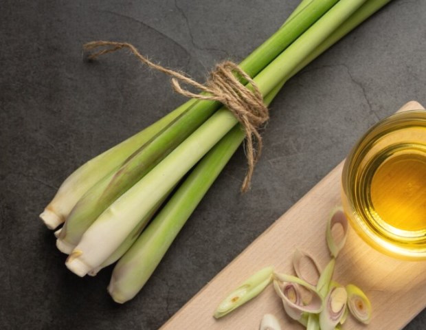 Tanpa Kimia, Inilah 6 Tanaman Pengusir Nyamuk di Rumah