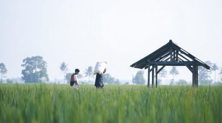 Aceh Peroleh 100% Tambahan Alokasi Pupuk Subsidi