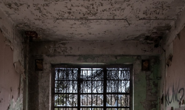 6 Penyebab Tembok Rumah Berjamur & Tips Mencegahnya