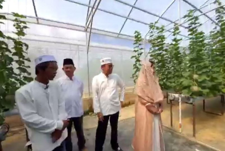 Petani Milenial Dinilai Harus Kreatif dan Inovatif