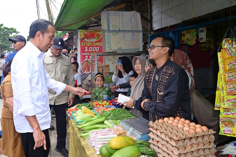 Presiden Jokowi Kunjungi Pasar dan RSUD di Jambi