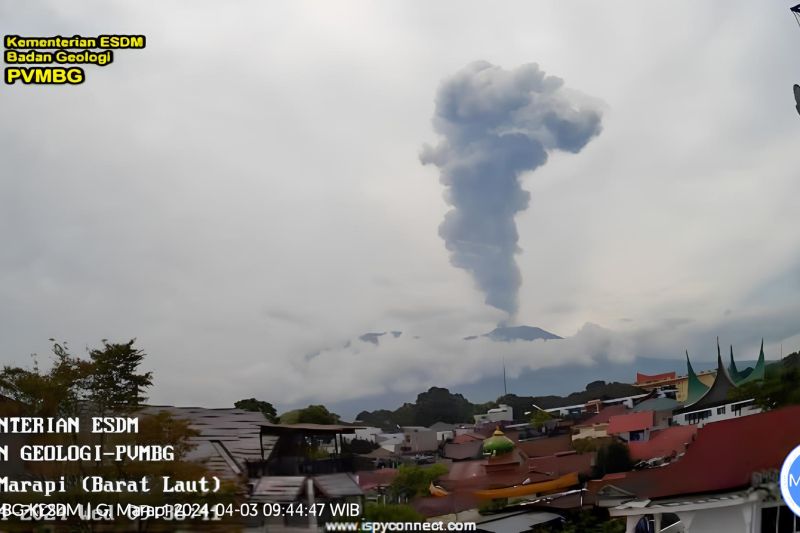 Kolom abu vulkanik tampak membumbung akibat aktivitas erupsi yang terjadi pada Gunung Marapi di Sumatera Barat, Rabu (3/4/2024). (ANTARA/HO-PVMBG)