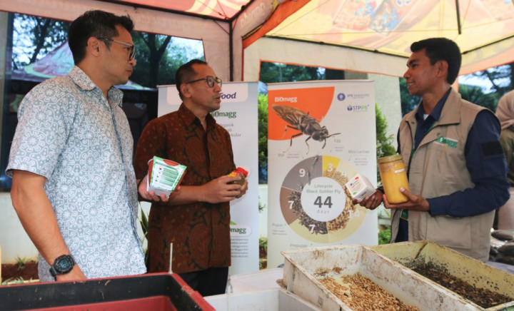 Mengubah Sampah Menjadi Peluang Bisnis Melalui Maggot
