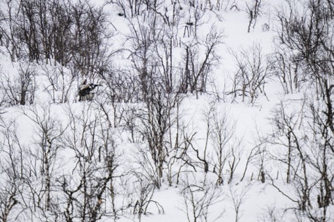 Serang Pangkalan Udara Rusia, Ukraina Berhasil Hancurkan 6 Pesawat