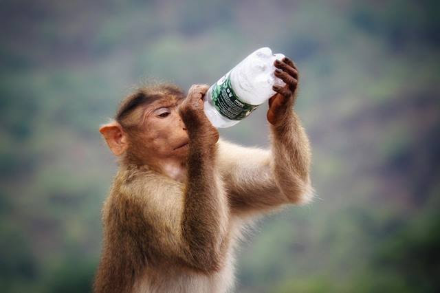 Berikut tiga berita terpopuler gaya. (Foto: Ilustrasi/Dok. Unsplash.com)