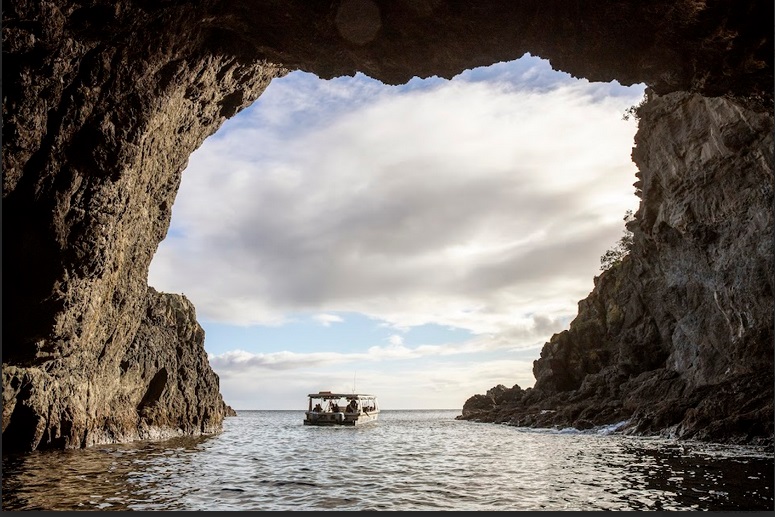 Wisata Alam di Auckland Pesisir Barat. Dok. Ist