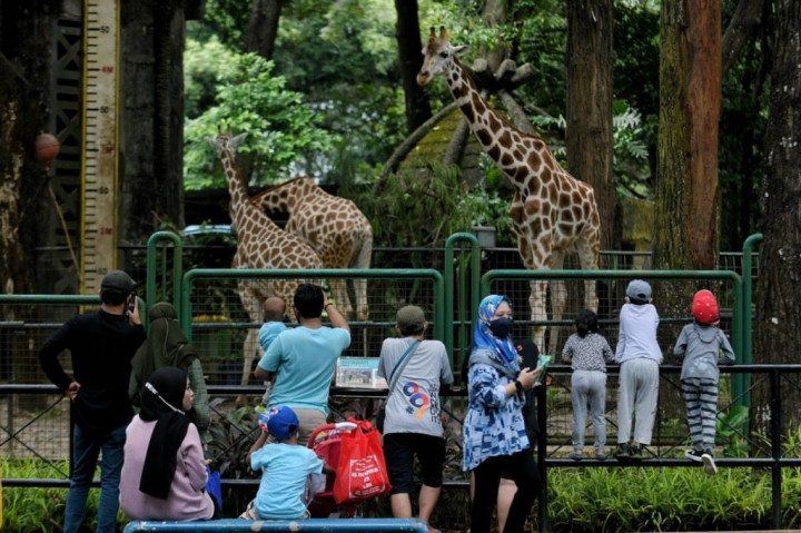 Kebun Binatang Ragunan Buka Selama Libur Lebaran, Ini Harga Tiket dan Cara Membelinya